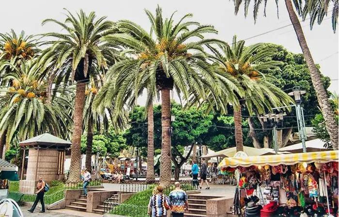 Vulcano Paradise Puerto de la Cruz  Eksteriør bilde